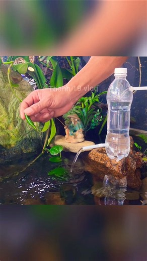 Discarded Plastic Bottle Turns Into a DIY Water Fountain for a Fish Pond #diy #thanh19vlog