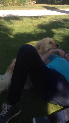 Chien s’accouple avec un humain