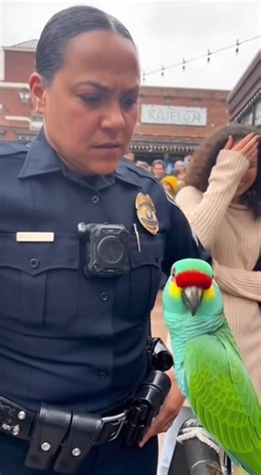 Funny talking with Parrot 😂🦜 #funny #parrot #comedyparrot | Parrot Comedy Show