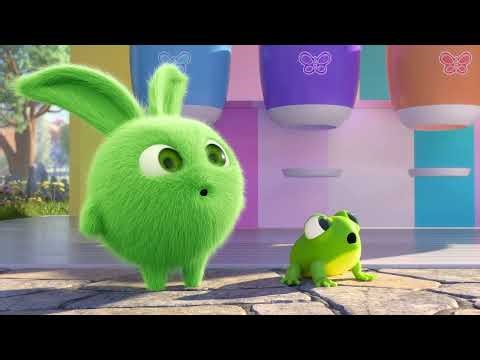 Sunny Bunnies - Course Folle en Rollers | Dessins Animés | WildBrain Zoo Français