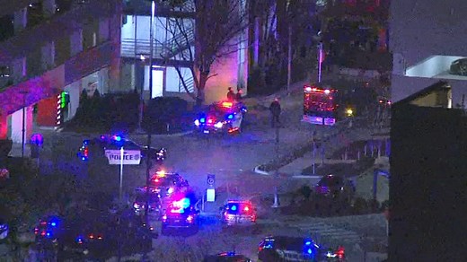 Oak Brook mall shooting: 4 shot inside Oakbrook Center, 1 in custody, police say