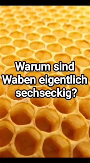 Warum sind Waben sechseckig?