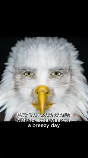 baby it's cold outside #memes #shorts