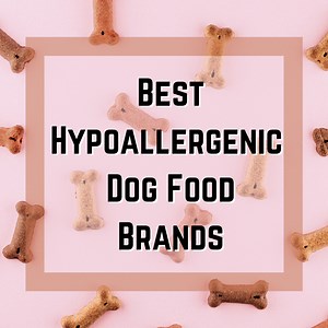 Top 5 Hypoallergenic Dog Food Brands