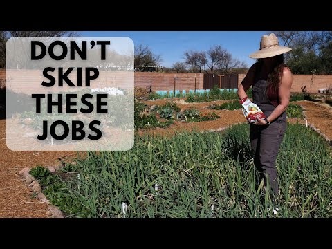 The Southern Arizona GARDENER's Guide to Essential Spring Jobs