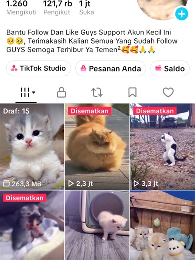 Kucing Gemoy Lucu — Video Menggemaskan dan Follow Terima Kasih