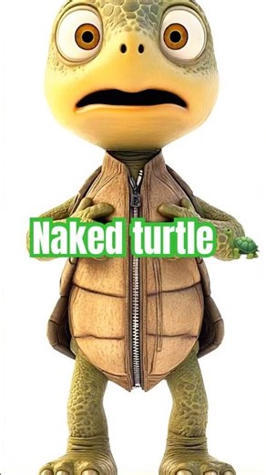 Can turtles take off their shell?! 🐢 👕 the truth! #facts #turtle #animals