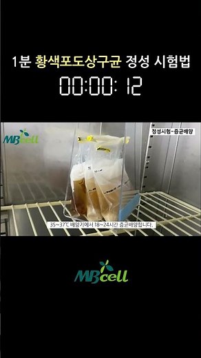 [식품공전] 황색포도상구균 정성 시험법 - 증균배양, 분리배양