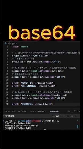 画像を文字に変換！？意外と知らないBase64の正体 #Python初心者 #Base64 #ネットワーク #プログラミング #エンジニアの
