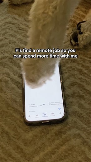 *Opens Indeed app* | Indeed