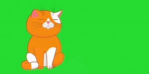 Cat, Green Screen, Cartoon. Free Stock Video