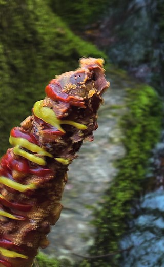 Korean Style Hotdog #almzankitchen #food #hotdog #almazan_kitchen #foodporn #asmr #cooking #foodtiktok