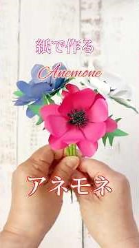 [Paper Flowers] Anemones made from paper #handmade #paperflowers #easydiy