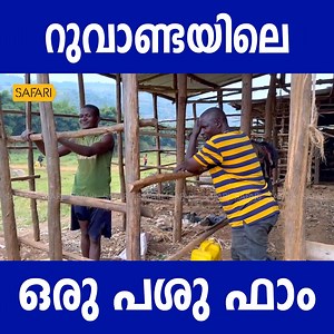 72K views · 1.3K reactions | Sancharam Rwanda | Safari TV | Santhosh George Kulangara #safari_Tv #safaritv #Santhosh_George_Kulangara #Sancharam #Travelogue_based_Channel #Sancharam #Rwanda #Rwandasafari #africa | Safari TV | Facebook