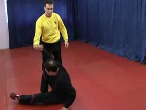 WING-TSUN-GM-BOOTCAMP-REVIEW-Video