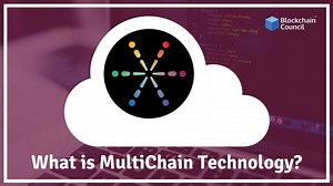 What is MultiChain Technology? What are the objectives? How it works?