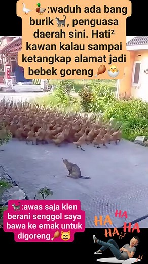883K views · 10K reactions | Susah memang kalau berhadapan dengan penguasa jalan. Bener Mak bek mending minggir saja cari aman | Kocheng Burik | Facebook