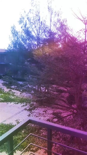 joba (@joba_akter000)’s videos with original sound - 𝐅𝐎𝐘𝐒𝐎𝐋 𝐀𝐋𝐎𝐌