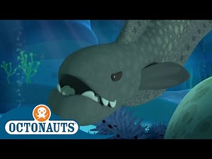 #Summer Octonauts - That's a Moray! | Cartoons for Kids
