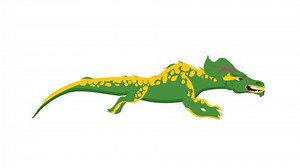 Dragon Run Cycle Animation Video Stock Footage Video (100% Royalty-free) 3576550509 | Shutterstock