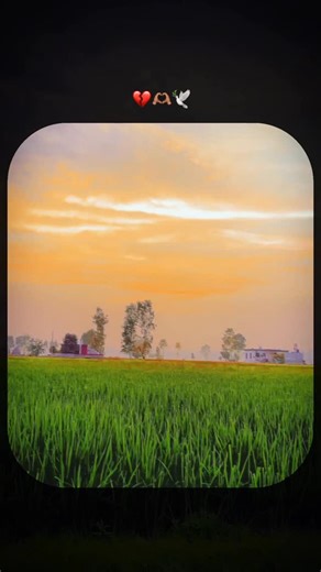 Silent .. 🥀 on Instagram: "Kuj Ni Kamaya Tere Pyar Cho 🫶🏽 . . . . . . #Viralreels #suport #trendingreel #growth #viralreel #intagram #oldpunjab #sad #sadsong #oldsong"