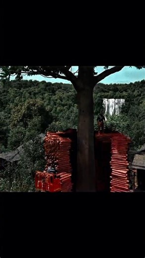 Pushpa 2MOST AWESOME Shorts Videos? #shorts #trending