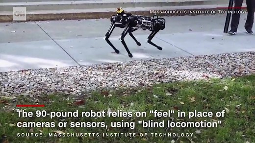154K views · 174 reactions | Meet the Cheetah 3 — a "blind" robot designed by MIT that can avoid obstacles and climb stairs using "feel" instead of sensors or cameras https://cnnmon.ie/2KQiJhD | CNN Business | Facebook