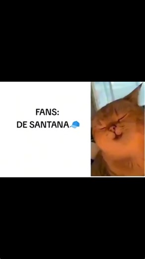 Actualmente todos estan asi xD