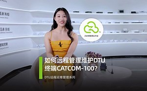 ZWS云平台是如何实现远程管理维护DTU终端的？