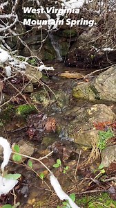 33 reactions | Ol spring Water rite out the mountain. | West Virginia Boys | Facebook