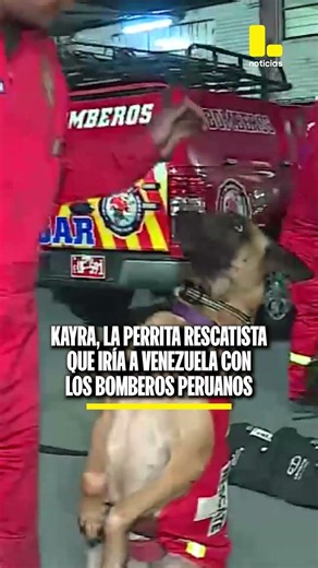 Kayra, la perrita rescatista que viajará a Venezuela junto a los bomberos