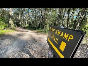 Camping At Salt Springs Florida | Ocala National Forest
