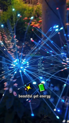 Fireworks aren’t only in the sky anymore | Terra Garden