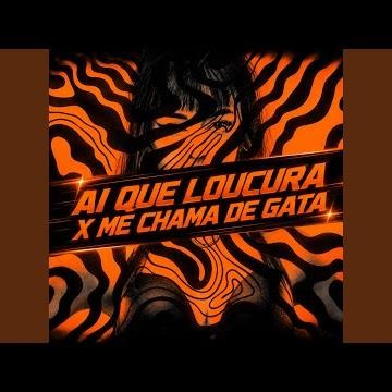 AI QUE LOUCURA X ME CHAMA DE GATA