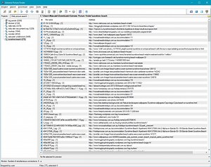 Download All Images From Google Image Search