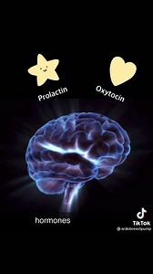 Here is how breastmilk is made | MilkyMakers