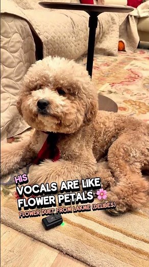 Charlie Sings Flower Duet - Ethereal Opera Masterpiece 🌸✨