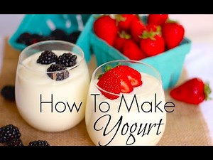 How to Make Coconut Yogurt!