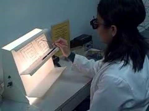 Split Vectogram Biocular Handeye/Accommodation