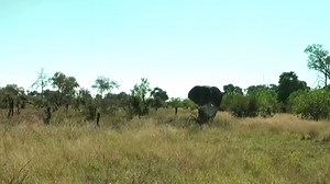 Moremi Game Reserve safaris in Botswana