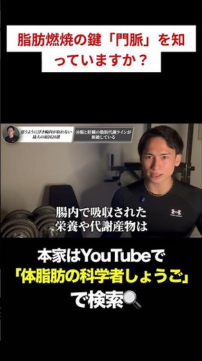 脂肪燃焼の鍵「門脈」を科学的に解説！#ダイエット #体脂肪 #ボディメイク #門脈
