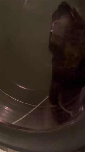 Washing machine vibration