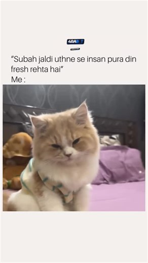 Badmoshhhhh on Instagram: "日本利用压电瓷砖将人们的脚步转化为电能。 这些瓷砖能够捕捉你脚步产生的动能。当你行走时,你的体重和动作会对瓷砖产生压力。瓷砖会轻微弯曲,产生机械应力。瓷砖内部的压电材料会将这种应力转化为电能。每一步都会产生少量电荷,数百万步加在一起,就能产生足够的电力来驱动LED灯、数字显示屏和传感器。在像涩谷车站这样人流密集的地方,每天大约240万步都在为这个系统做贡献。这些电力可以储存起来或立即使用,从而减少对传统能源的依赖,并支持可持续的城市基础设施。 这种方法把日常的动作转化为实用的可再生能源。#日本#知识#事实#你知道吗#推荐 #科技 #创新 #历史 #技术#实验 日本利用压电瓷砖将人们的脚步转化为电能。 这些瓷砖能够捕捉你脚步产生的动能。当你行走时,你的体重和动作会对瓷砖产生压力。瓷砖会轻微弯曲,产生机械应力。瓷砖内部的压电材料会将这种应力转化为电能。每一步都会产生少量电荷,数百万步加在一起,就能产生足够的电力来驱动LED灯、数字显示屏和传感器。在像涩谷车站这样人流密集的地方,每天大约240万步都在为这个系统做贡献。这些电力可以储存起来