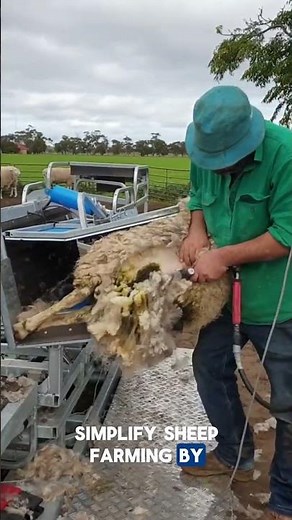 Sheep Handling System for Farmers