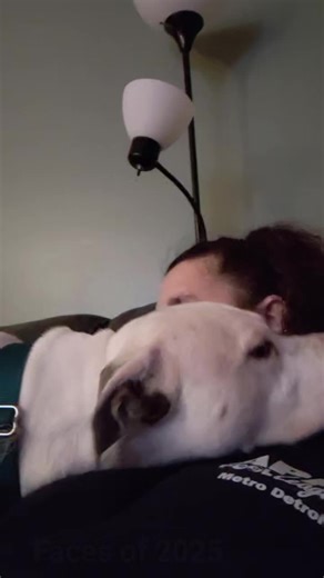 giggles (@giggles1358)’s videos with original sound - giggles