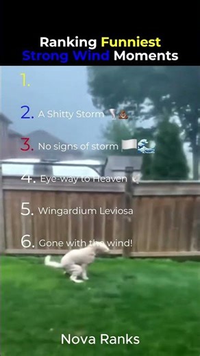 Ranking Funniest Strong Wind Moments