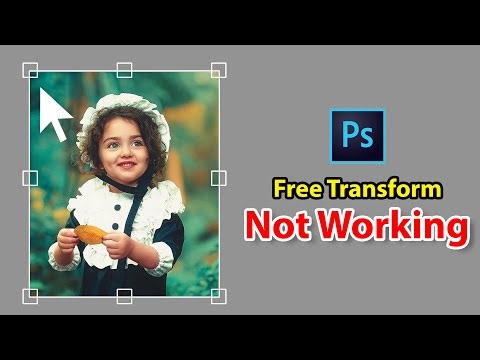 Photoshop Free Transform Tool Not Working | How Too Use Free Transform | Photoshop Free Transform