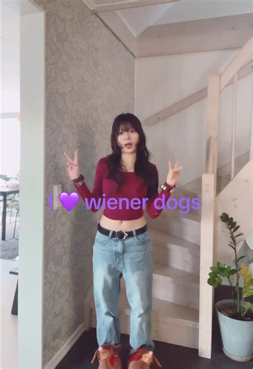 Why I Love Wiener Dogs: A Cute Canine Perspective