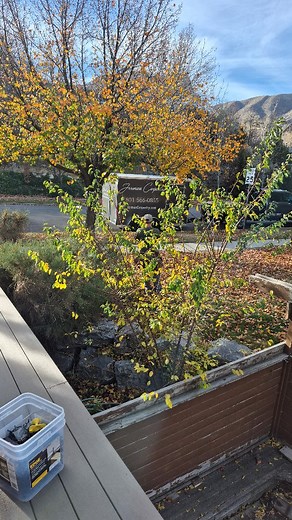 Cutting deck boards to length on our current deck project #decktheworld #jermancarpentry #lariatpartners #timbertechdecking #timbertechpro @timbertechpros Deck color Timber tech Terrain Dark oak | Jerman Carpentry LLC