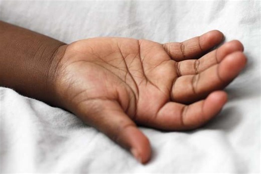 La mano humana: La herramienta evolutiva que dio forma a la civilización